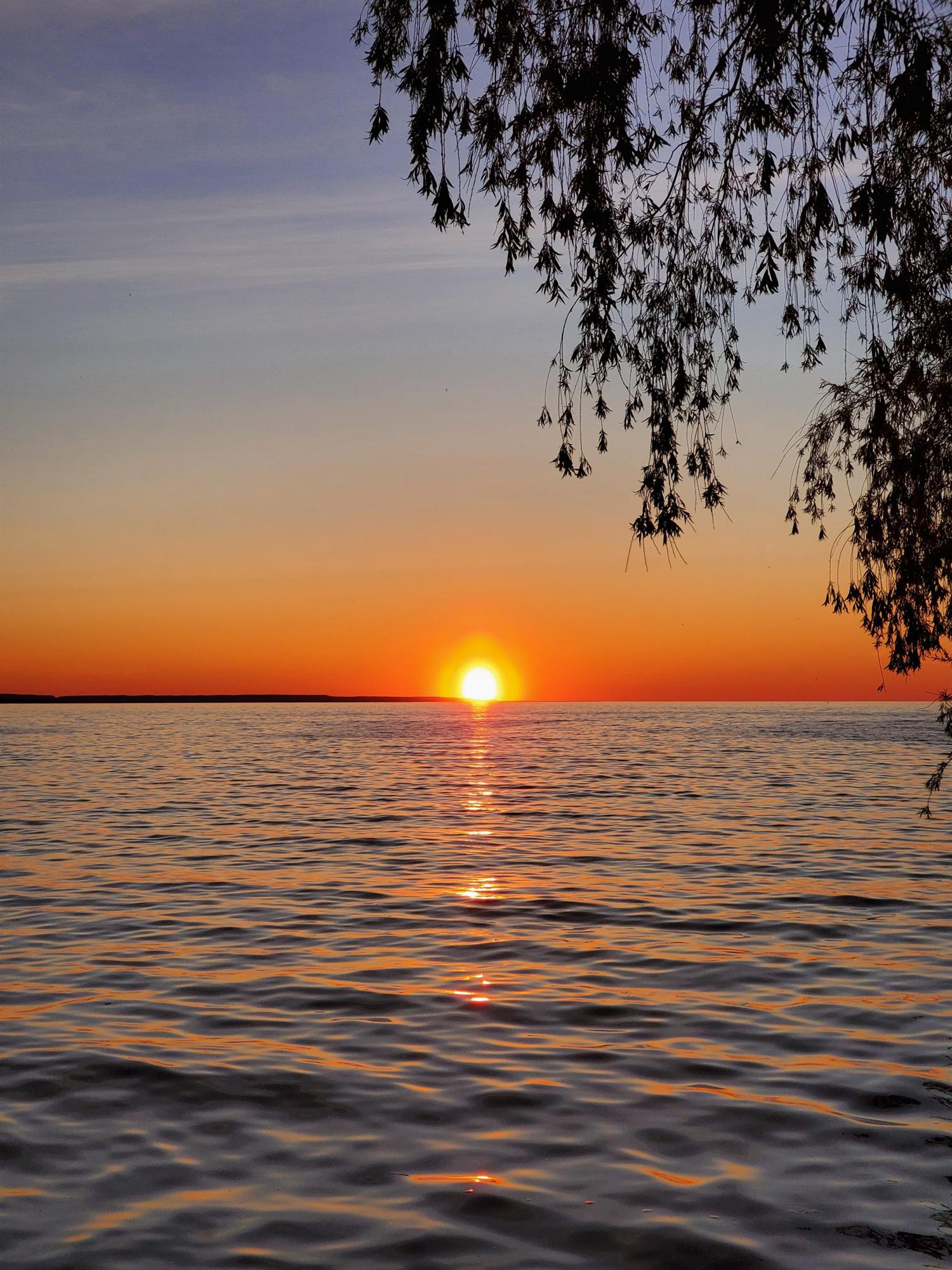 The sun low over Georgian Bay framed by shoreline trees